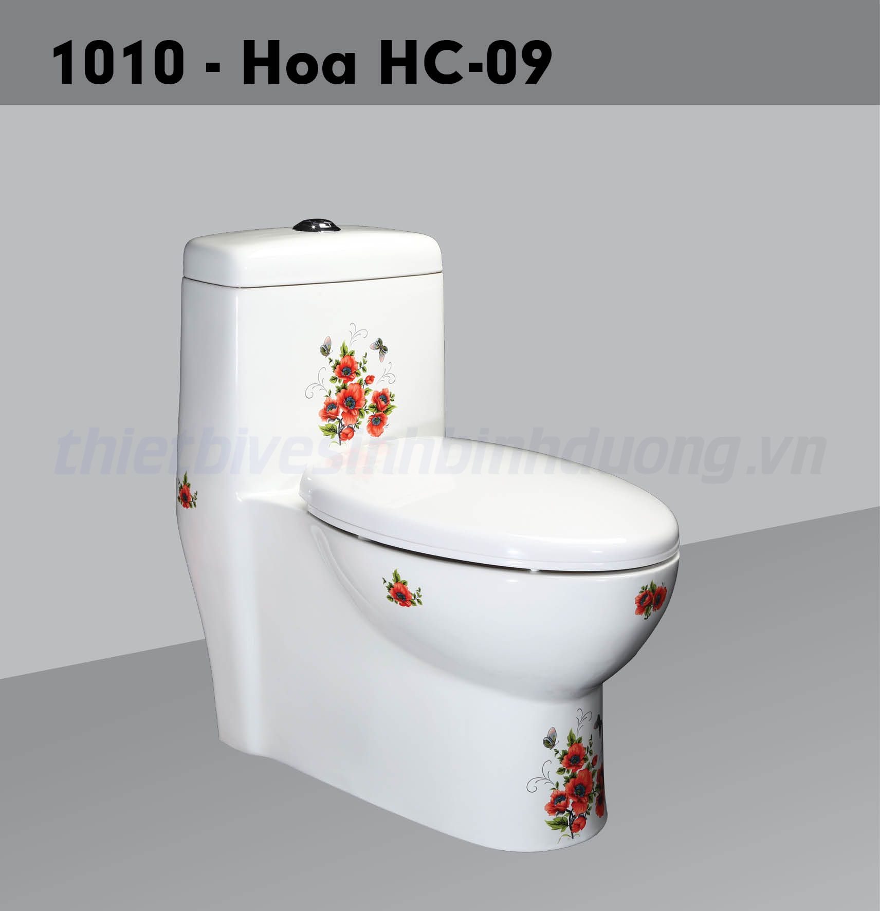 Bồn cầu sứ Hảo Cảnh HC 1010